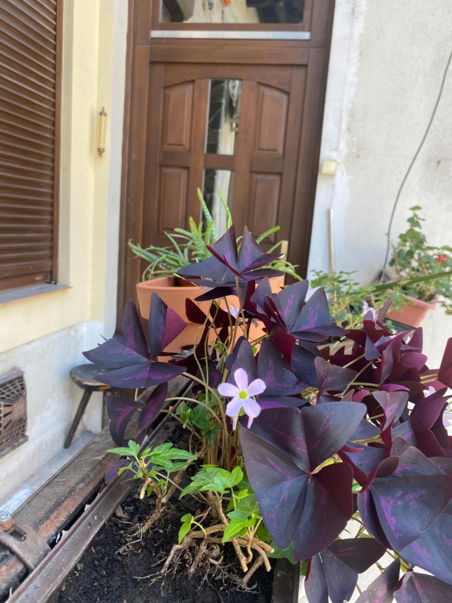 Budapest Oasis One Bedroom For Renting 외부 사진